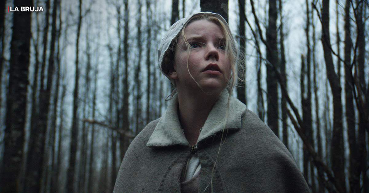 NetflixLAT's tweet photo. The Witch (2015)
Director: Robert Eggers
Director de fotografía: Jarin Blaschke https://t.co/fP1V2f5cA4