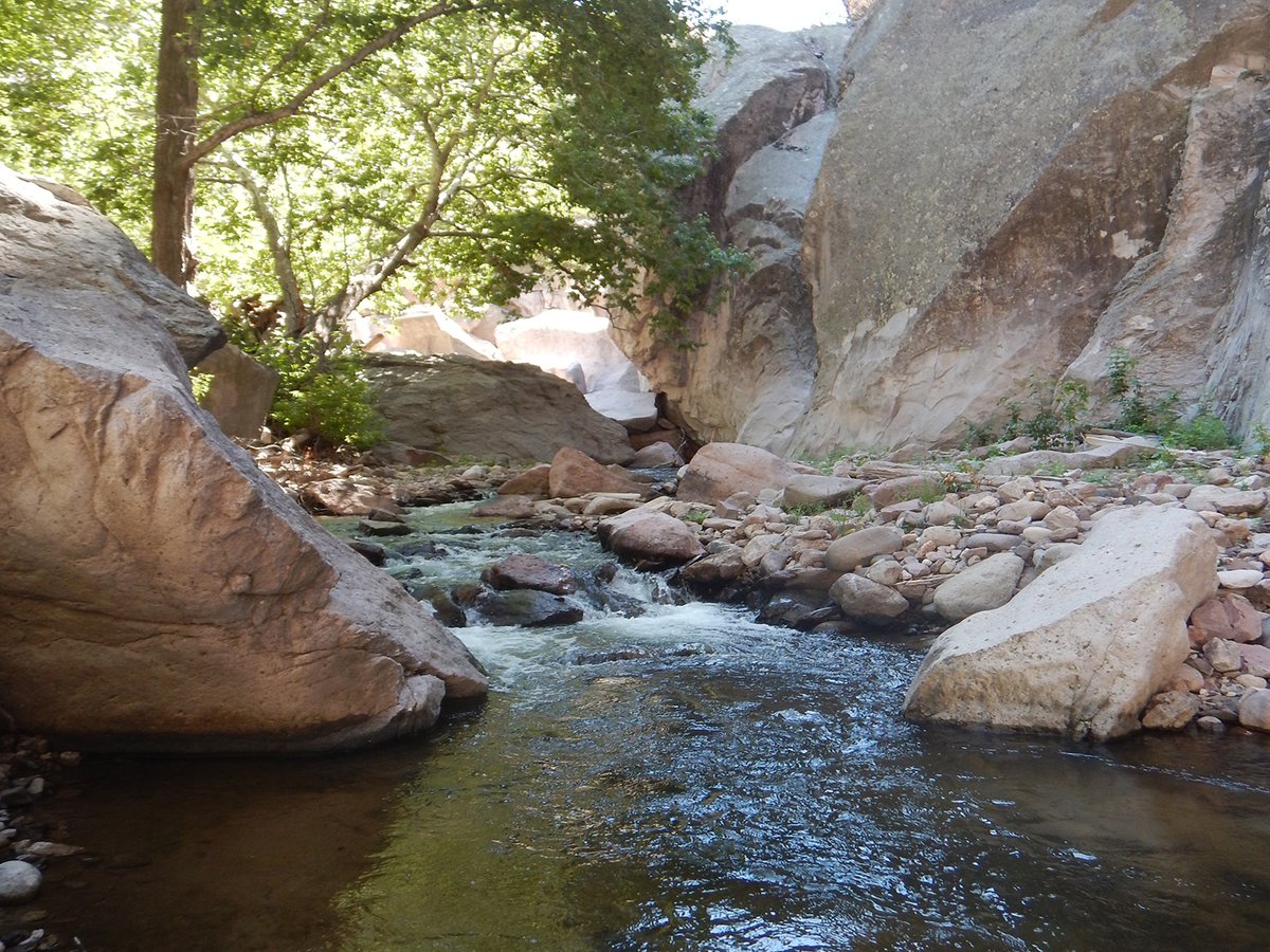 GilaNForest's tweet photo. The positive effects of being outside are easy to come by if you live near the Gila NF. Just two hours a week may help with stress reduction. #GetOutdoors
Photo Credit: Whitewater Creek/Forest Service https://t.co/UxchhsSjLJ