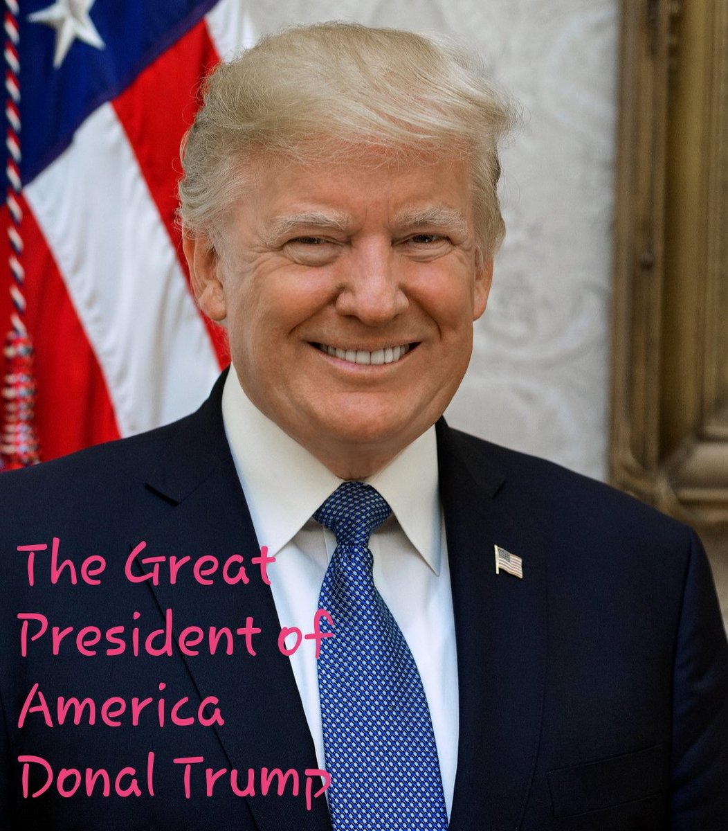 DavidHongPhuc1's tweet photo. My President is Donal Trump https://t.co/6ltO8Ji6HA
