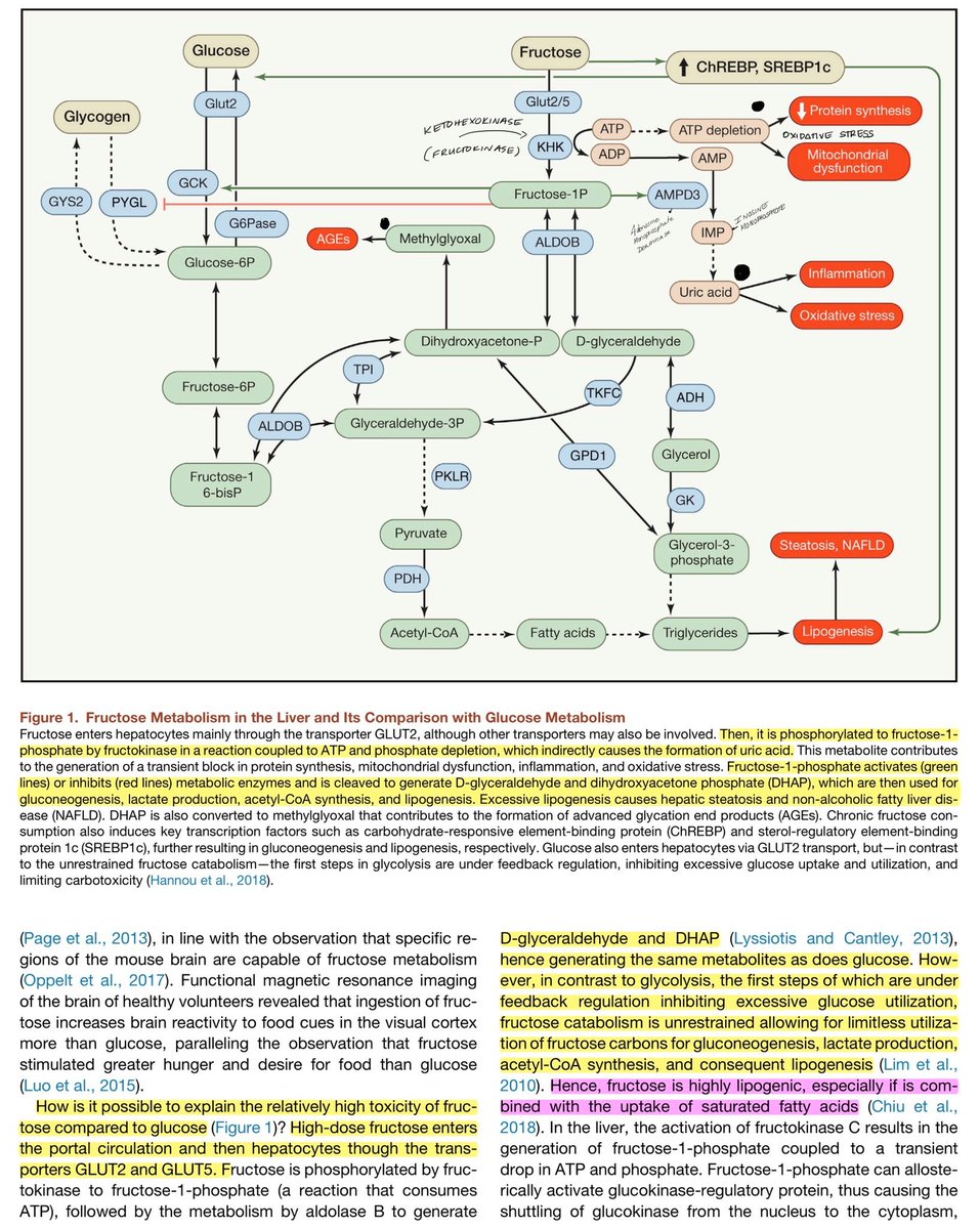 I should post these before but... Fuck it, here some cool research for you.