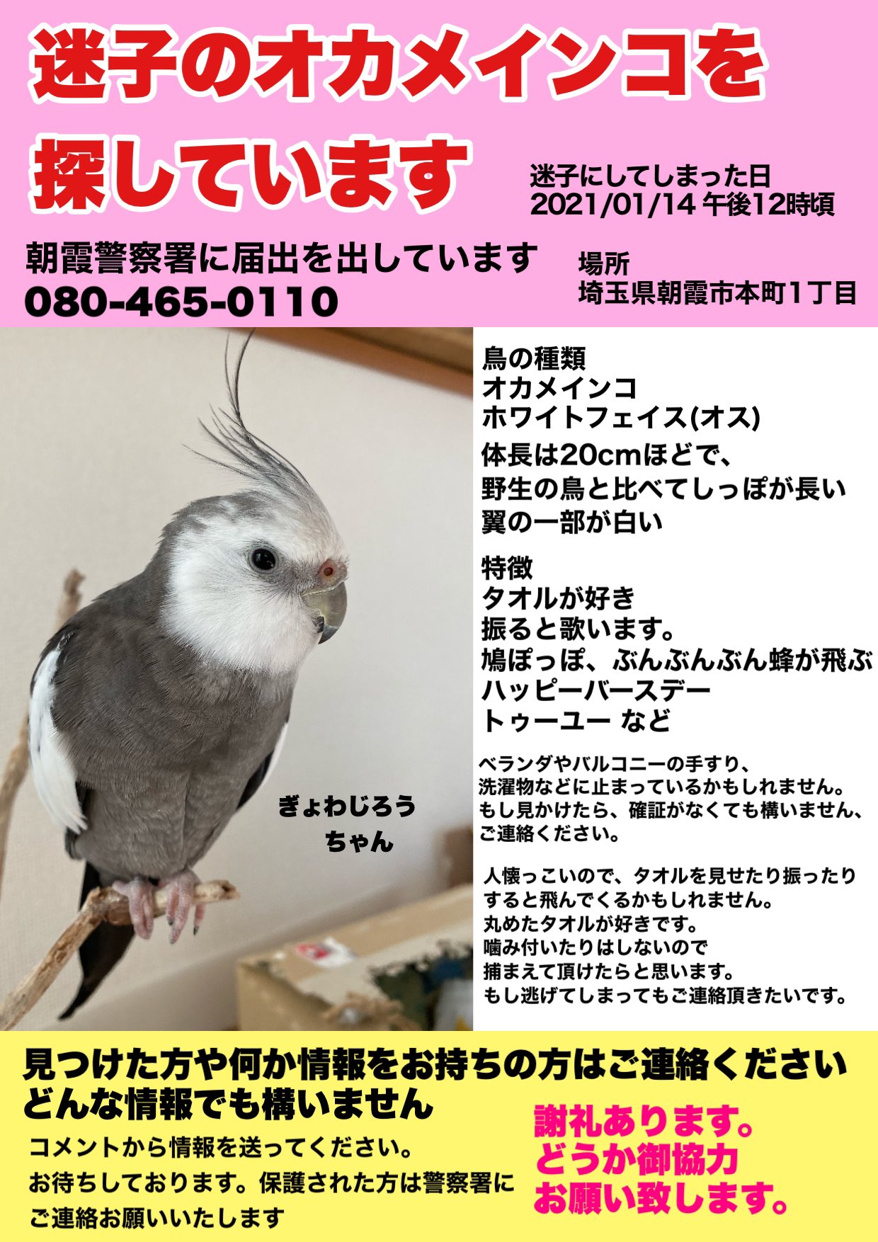 Tweets With Replies By 灰色オカメインコ捜索中 Zc9mu Twitter