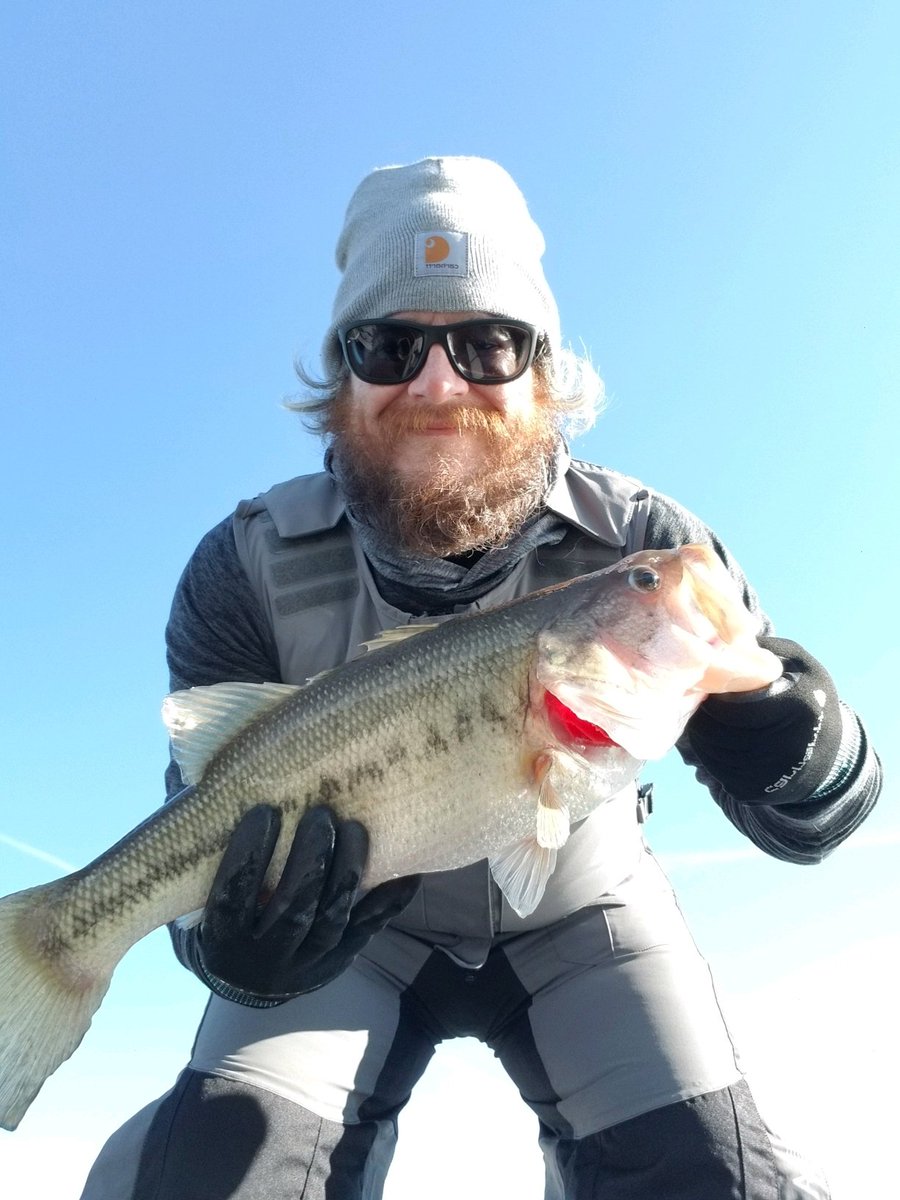 explorekylake's tweet photo. Nice catch on Kentucky Lake yesterday.  Thanks Scott for sharing!  #bassfishing #kentuckylake #kylake https://t.co/pHZ6XwxssH