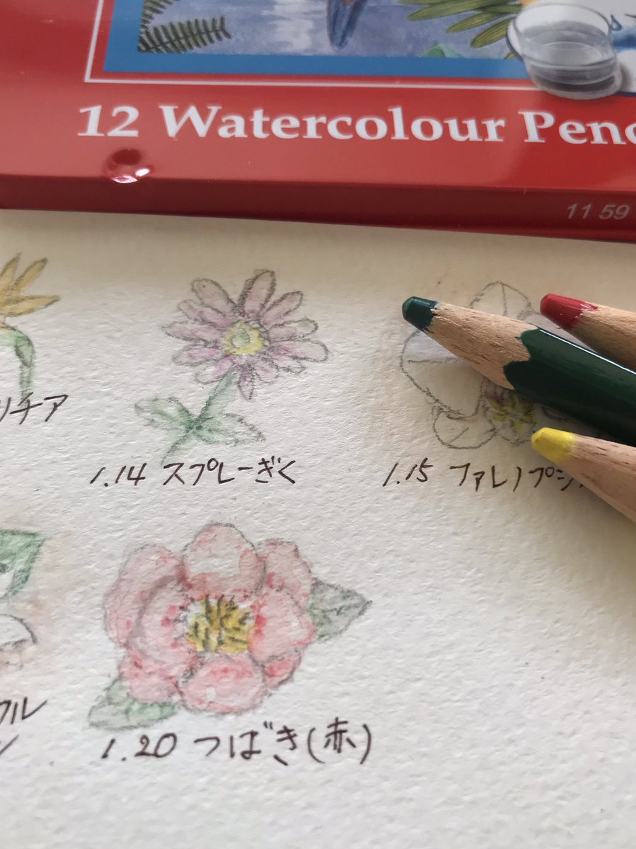 Twoucan 1月日誕生日 の注目ツイート イラスト マンガ コスプレ モデル