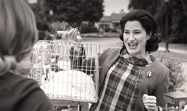 Agnes is trouble man, I’m not digging her vibes. She knows a lot more than she’s leading on and she might be a villain in hiding. Same with Dottie. So many references to the “devil” between “devil’s in the details” and Agnes’ rabbit named Mr. Scratch (nickname for satan). 