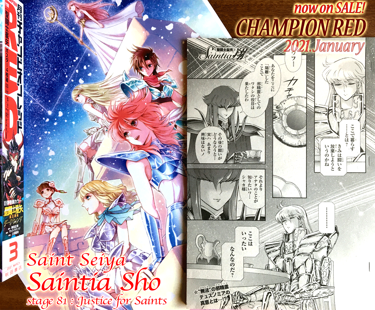 聖闘士星矢 設定資料集 セインティア翔 チャンピオンRED付録 当時物 希少品 新品聖闘士星矢 設定資料集 セインティア翔チャンピオンRED付録