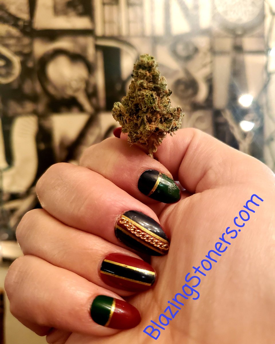 Blazing_Stoners's tweet image. Cute Little Nug 💚💚💚💚

BlazingStoners.com #BlazingStoners #CannabisCommunity #TokeNation #420friendly #Mmemberville
