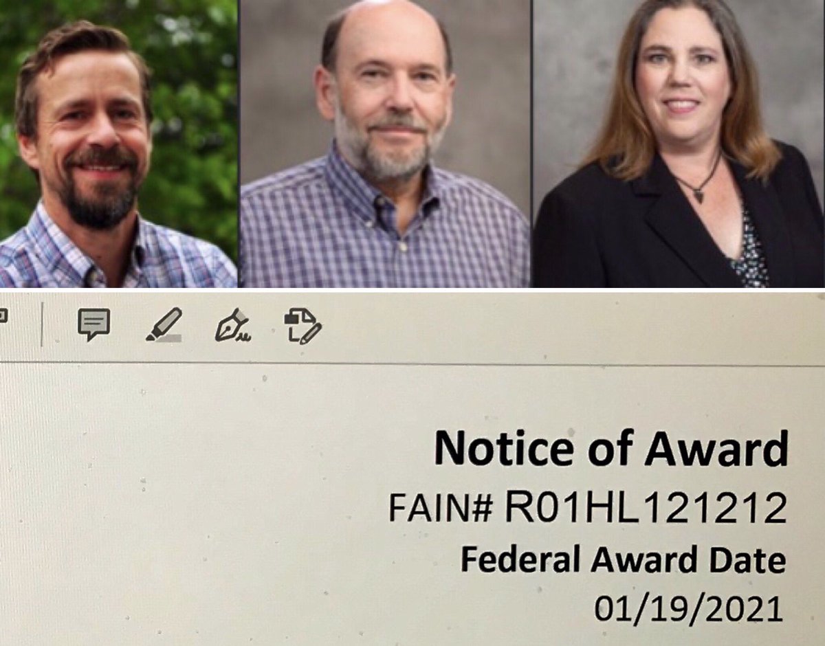Anirban Sen Gupta (@jishnusengupta) on Twitter photo Super excited to receive NOA for @nih_nhlbi R01 on a collaborative project with <a href="/JHMorrissey/">Jim Morrissey</a> <a href="/scheibech/">Wolfgang Bergmeier</a> & #StephanieSmith to advance a new design of synthetic platelets that incorporates polyphosphates & anionic phospholipids for hemostatic function in treating trauma hemorrhage! Super excited to receive NOA for @nih_nhlbi R01 on a collaborative project with <a href="/JHMorrissey/">Jim Morrissey</a> <a href="/scheibech/">Wolfgang Bergmeier</a> & #StephanieSmith to advance a new design of synthetic platelets that incorporates polyphosphates & anionic phospholipids for hemostatic function in treating trauma hemorrhage!