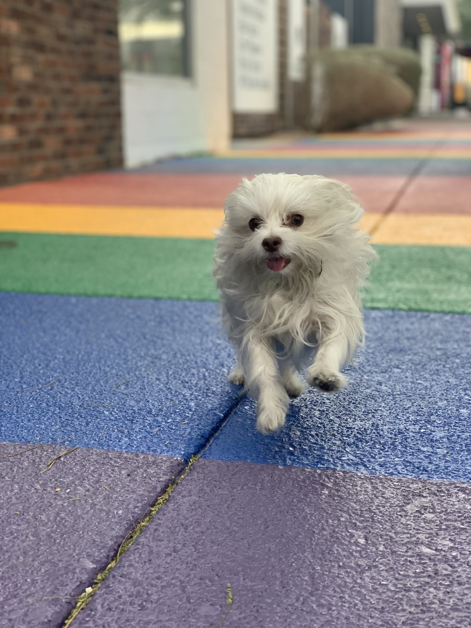 My favorite picture of the day.
 🥰🥺 https://t.co/y1Mp9x863n