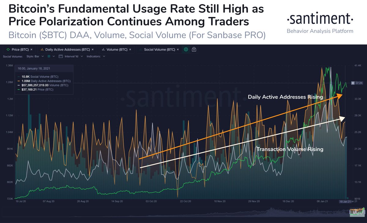 🤔 There is an increasing amount of trader doubt that #Bitcoin will revisit  $40,000. But according to address activity and trade volume, the long-term  trend still looks plenty healthy. Keep a close