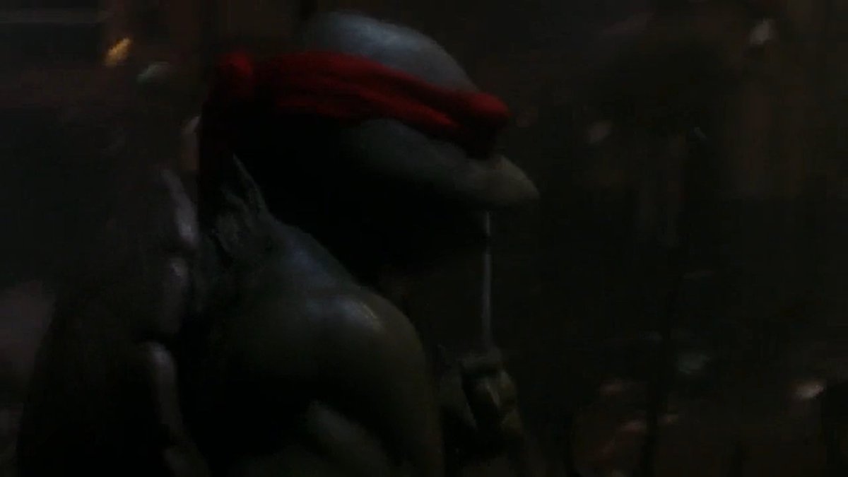 Whyyyyyy!! Poor turtles!! Raph is crying!!!Splinter is dead!!