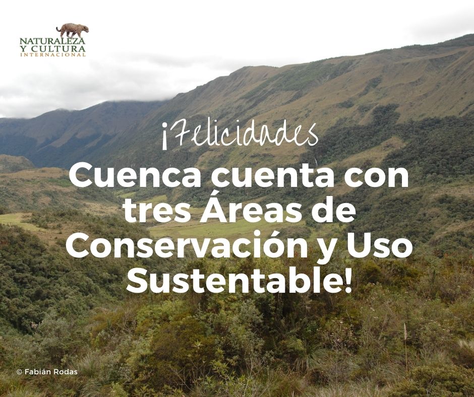 ncilatam's tweet photo. ¡Felicidades Cuenca!👏Hoy se aprobó la ordenanza que establece las ACUS Mazán, Machángara y Curiquingue-Gallocantana. 🌳Este logro ha sido un esfuerzo interinstitucional entre @ETAPAOficial, @elecaustro, @Ambiente_Ec , @FONAPA , @MunicipioCuenca, @nciecuador  y @andesamazonfund. https://t.co/GyRbQ9zZ7H