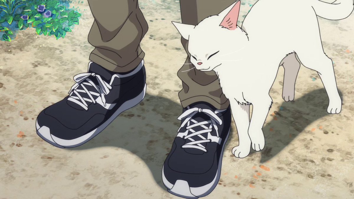 오늘 제가 누울 곳은 여긴가봐요..ෆ <해변의 에트랑제> 말랑뽀짝🥳 청량美 뿜뿜 보도스틸 대공개!🐈🌊 #BL #애니 #애니메이션 #애니추천 #영화추천...