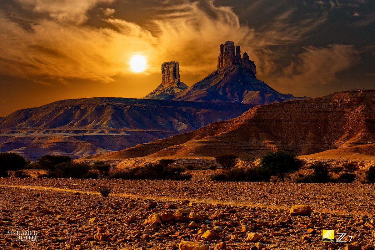 WideVision_sa's tweet photo. @WideVision_sa #wide_vision
من عدسة الفنان المصور العالمي الاستاذ محمد شبيب في احد رحلات التي ينظمها في مناطق المملكة https://t.co/WrVZxTbbQO