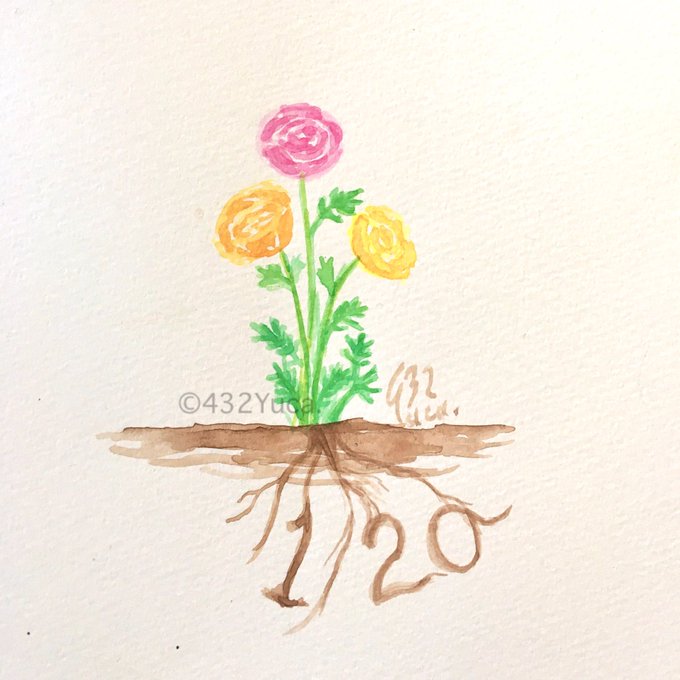 誕生花 高画質 のtwitterイラスト検索結果 古い順