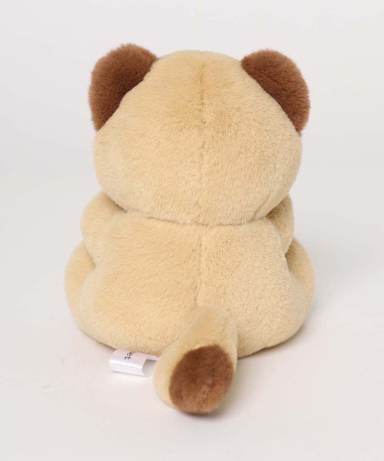 4種のおともだちをご紹介🎵 最後はたぬきさん🐾 お顔はもちろんですが