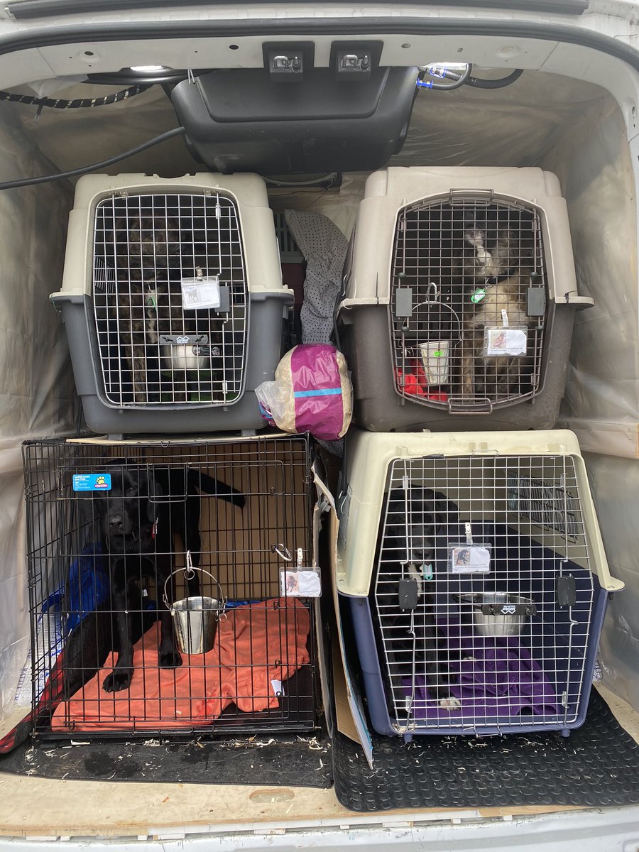 Rescueber tweet media