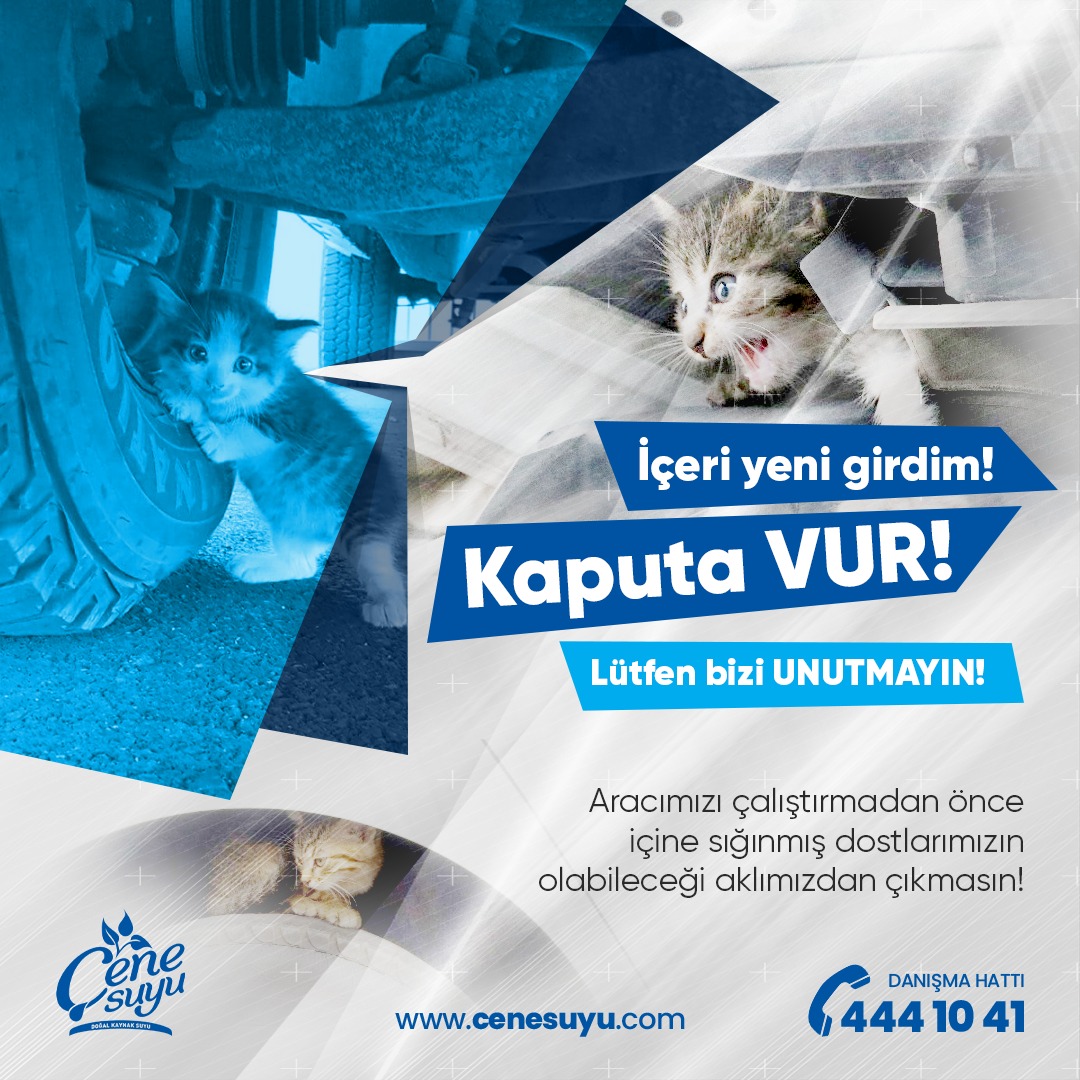 DİKKAT❗❗❗
Çok sayıda kedi 🐈, köpek 🐕‍🦺, kuş 🐦 gibi küçük hayvanlar arabaların 🚘 çalışmasıyla ısınmak için sığındıkları motorda ölüm tehlikesiyle karşı karşıya kalıyor. Motoru çalıştırmadan ❌ önce lütfen kaputa vurun ve kontrol edin.

#çenesuyu #doğalkaynaksuyu #kedi #köpek