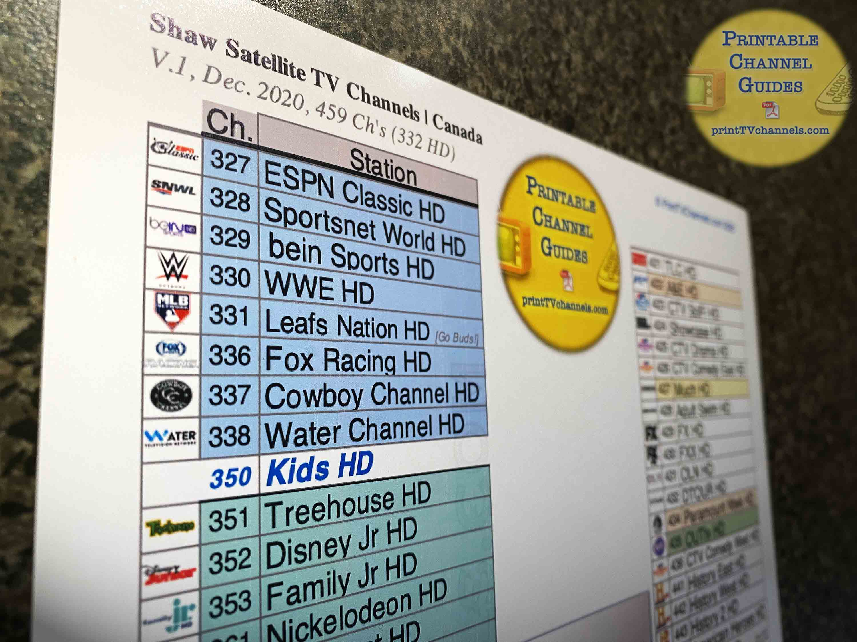 Shaw 2024 satellite tv