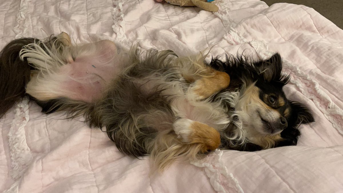 This attention seeking whore.