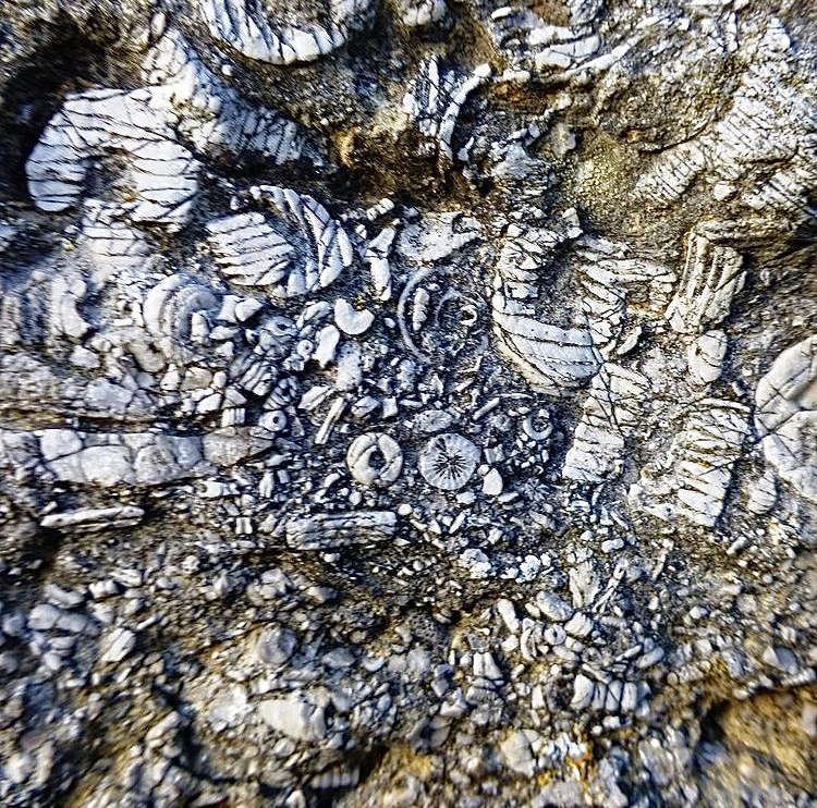 Friendless Churches tweet media