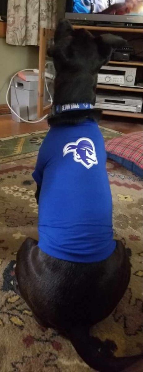 Tully waiting for <a href="/SetonHallMBB/">Seton Hall Men's Basketball</a> v Villanova tip-off #HallIn #PirateRescuePup