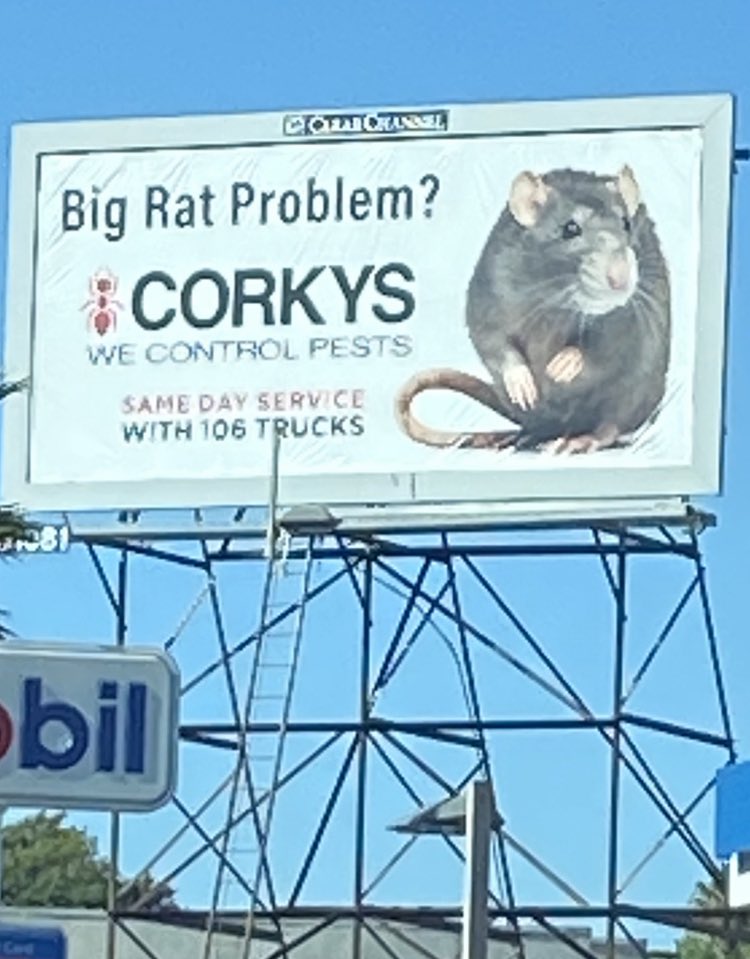 StephenEPearcy's tweet photo. Got my attention, ha. But no, @theRATTpack cannot be exterminated 🏴☠️☠️🏁 https://t.co/5WgtBGvH9D #rattproblem #backstagepast #rattbillboard https://t.co/xMJSq2eHOF