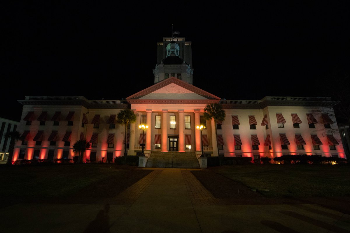 The Florida Historic Capitol and <a href="/CityofTLH/">City of Tallahassee</a> City Hall were illuminated tonight in remembrance of the more than 400,000 Americans who have died from COVID-19 as part of the Biden-Harris inauguration's national moment of unity. The Capitol was lit at the request of <a href="/NikkiFriedFL/">Commissioner Nikki Fried</a>.