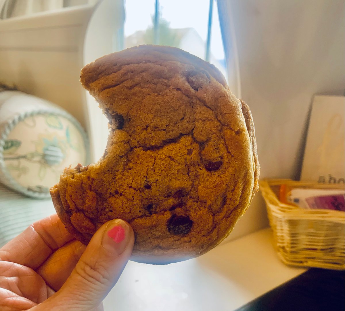 Beth Apone Salamon tweet media