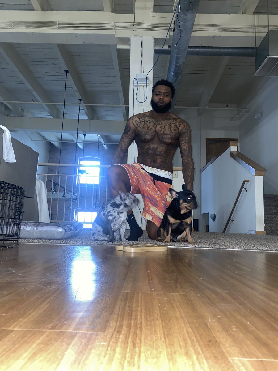 C5_Reloaded's tweet photo. NO DEAL KENNELS #frenchie #frenchbulldog https://t.co/SFRVMvHkpk