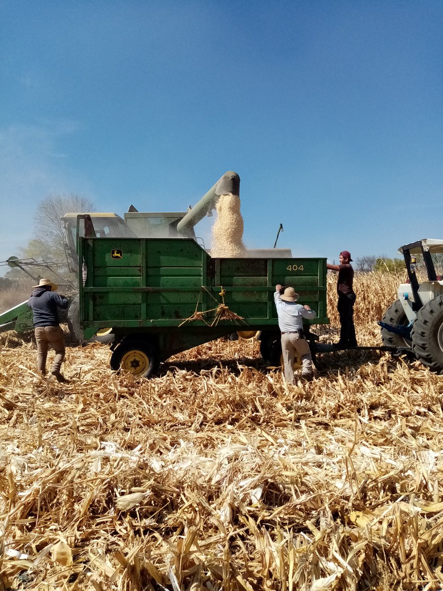 José Alfredo Estrada Alcala (JosAlfredoEstr7) Twitter