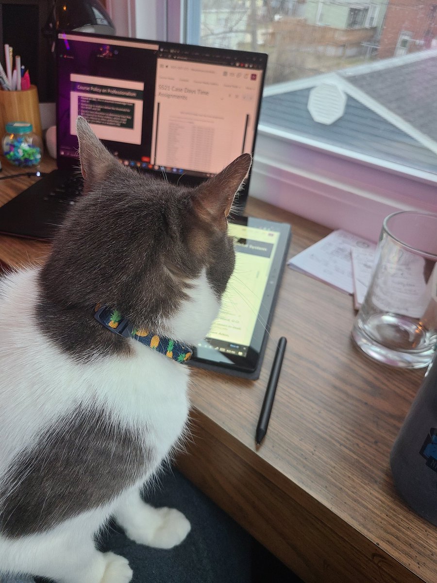 PatchieCat_'s tweet photo. I apologise for the lack of content, Patchie has been had at work studying for medical school with his mom #StudiousCat #WorkHardNapHard #CatsOfTwitter https://t.co/v0D9nHYO3X
