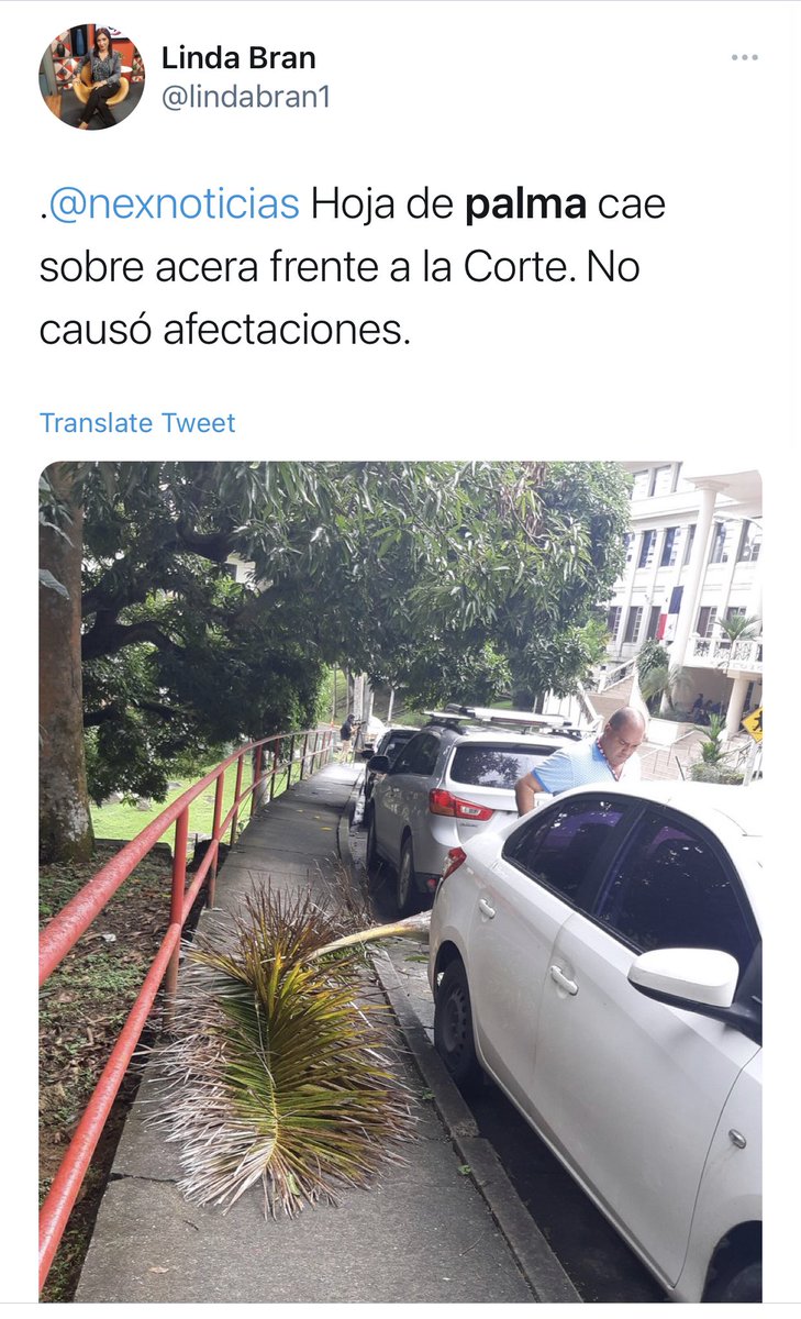 LuisEAlfaroM's tweet image. Same energy