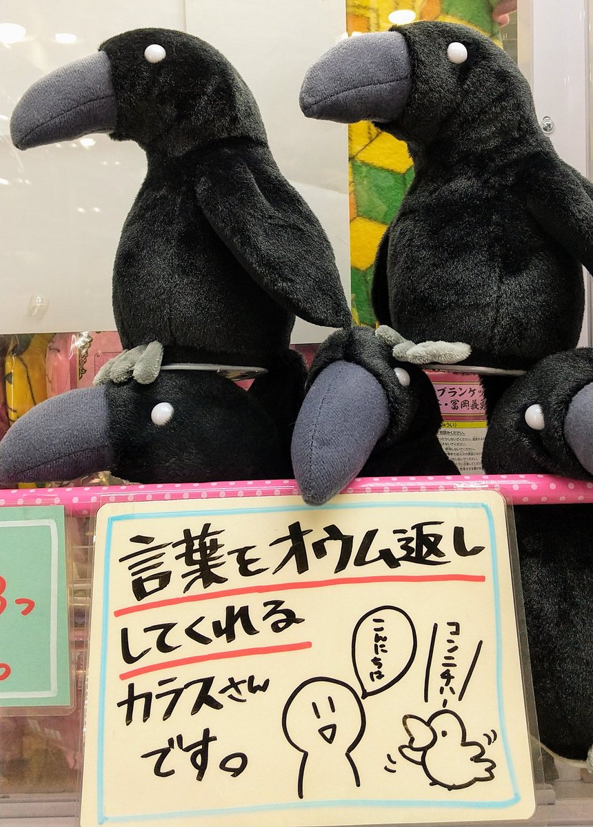 ピノッキースパティオ倉敷店 大人気 しゃべるカラス 話しかけた言葉が返ってくる 楽しいカラスが登場です お篭り生活で退屈なアナタに話し相手を カラス相手ならいくらでも話しかけてokですよ ピノッキースパティオ倉敷 ゆめタウン倉敷 ピノッキースパティオ倉敷店 大人気 しゃべるカラス 話しかけた言葉が返ってくる 楽しいカラスが登場です お篭り生活で退屈なアナタに話し相手を カラス相手ならいくらでも話しかけてokですよ ピノッキースパティオ倉敷 ゆめタウン倉敷