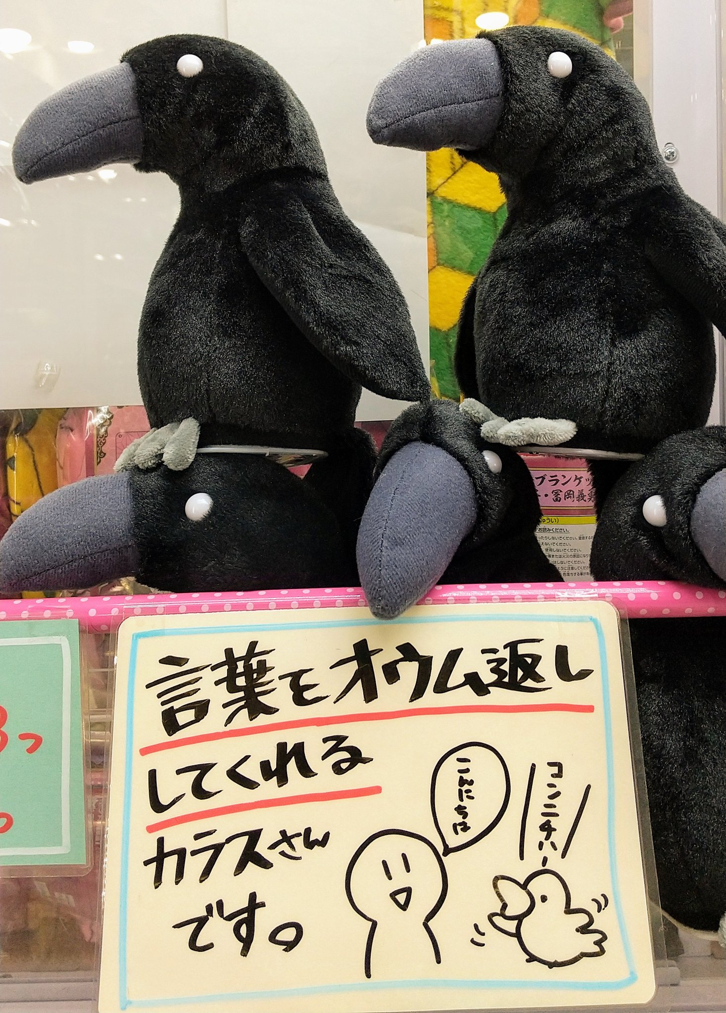 ピノッキースパティオ倉敷店 در توییتر 大人気 しゃべるカラス 話しかけた言葉が返ってくる 楽しいカラスが登場です お篭り生活で退屈なアナタに話し相手を カラス相手ならいくらでも話しかけてokですよ ピノッキースパティオ倉敷 ゆめタウン倉敷