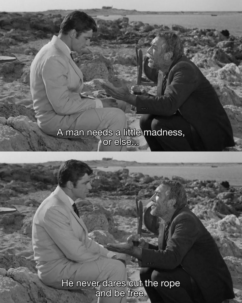 maybe you gotta see something splendiferous, boss https://twitter.com/ValenceValue/status/1351729868388659201