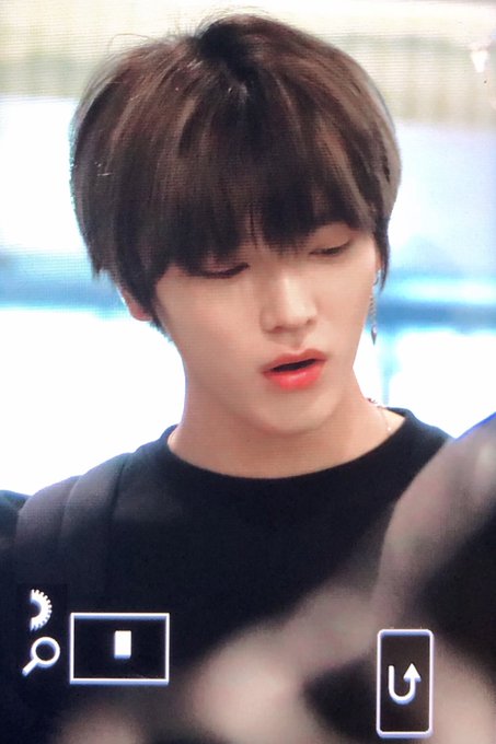 이 머리를 툥프들이 루비머리라고 부르는 게 너무 좋아