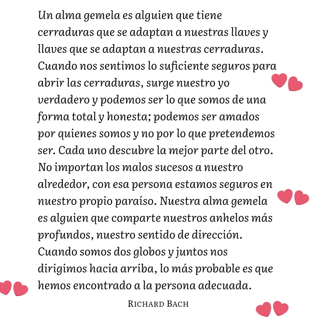 yanina bolaño tweet media