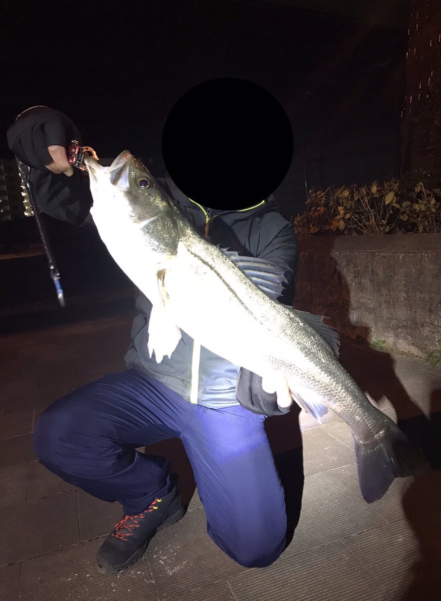 Zarame 極寒シーバス修行 隅田川ホームポイントにて 1月17日 日 21 15頃 中潮下げ三分 1バイト1キャッチ70センチ バチ マイクロ 稚鮎 極寒の中撃った奴が報われる 隅田川シーバス 極寒シーバス バチパターン マイクロパターン 稚鮎