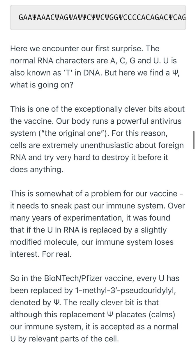 2) Wow, BioNTech (or  @kkariko ?) really did an amazing job with the engineering. If they use “uracil” or “U”, our immune system would attack the vaccine’s RNA. But if psi is used instead of U, then immune system ignores it, but the cell’s ribosomes still reads it as a U!!!