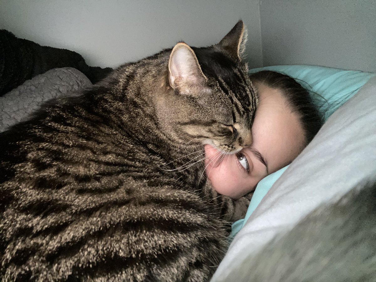 brriibrown's tweet image. I don’t understand this. I never will. How am I supposed to sleep without you on my face tonight covering my breathing holes? I miss you already my best friend.