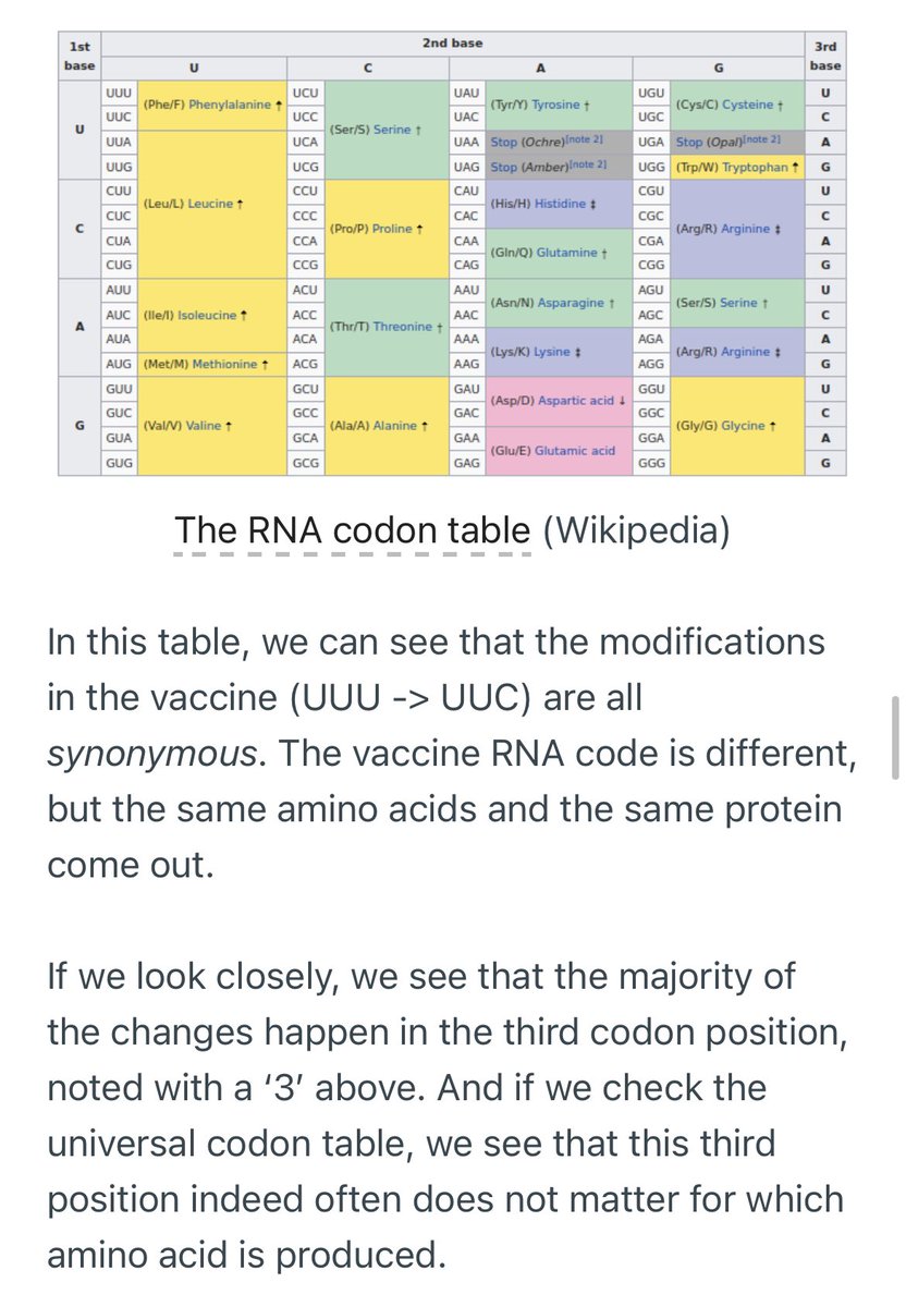 6) Another trick to make more spike protein.... notice vaccine and virus do have differences — there are more G’s and C’s often substituted in the vaccine instead of U’s sometime (psi is a U to keep simple). But UUU & UUC code the same amino acid—but using C/G makes more protein!