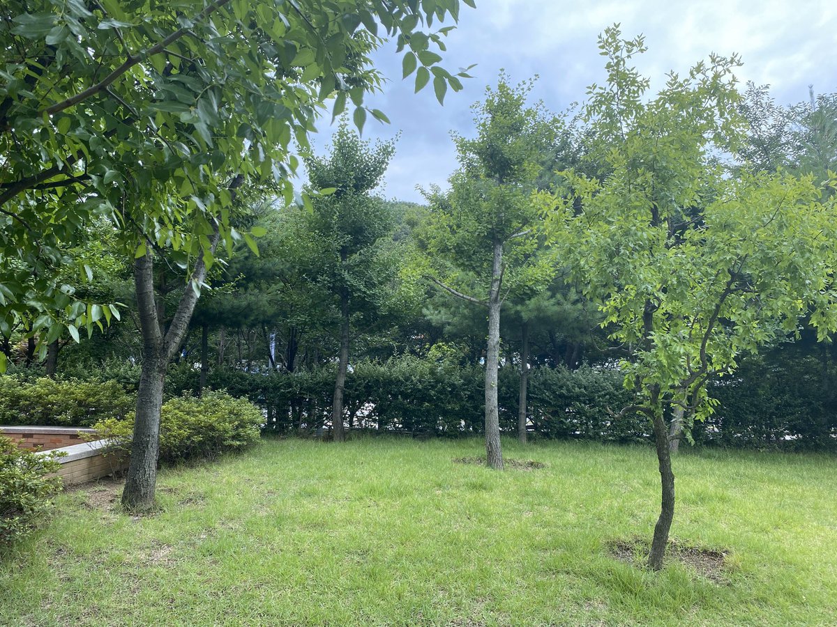 _jjoss's tweet photo. 珍獣ハンターみたいなことすな https://t.co/JrlaIHnjCu