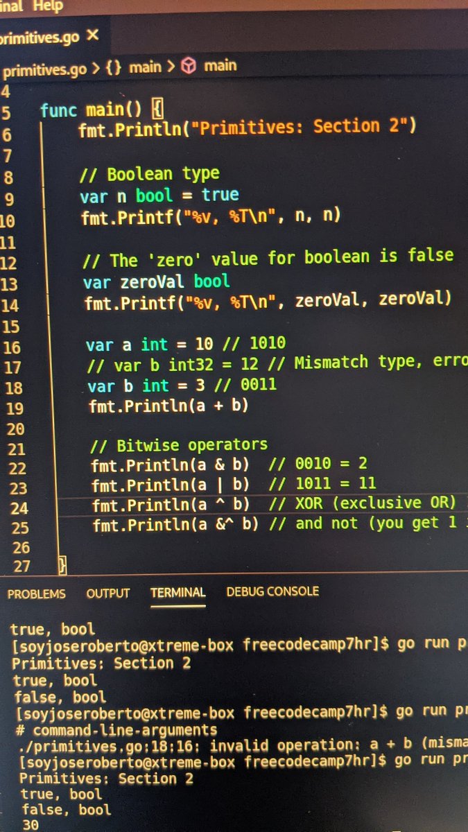 Day 15 of #100DaysOfCode in #golang. After a break, we are back at it. Still a baby gopher but nothing like bitwise operations to stay humble and hungry @freeCodeCamp @GolangGo #webdev #frontenddev #gopher #babygopher