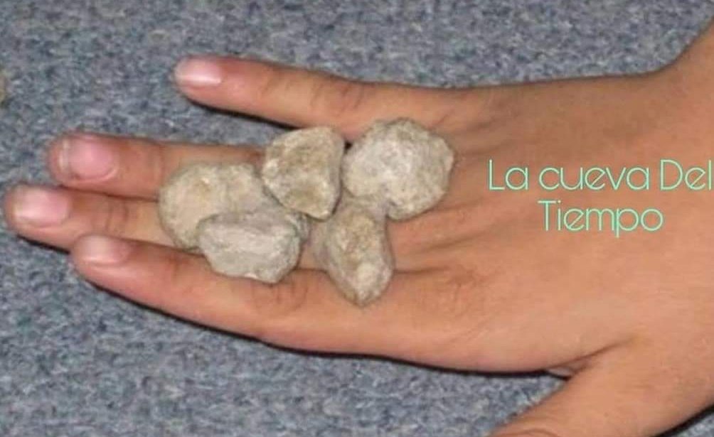 🚀Carlos Rozen tweet media