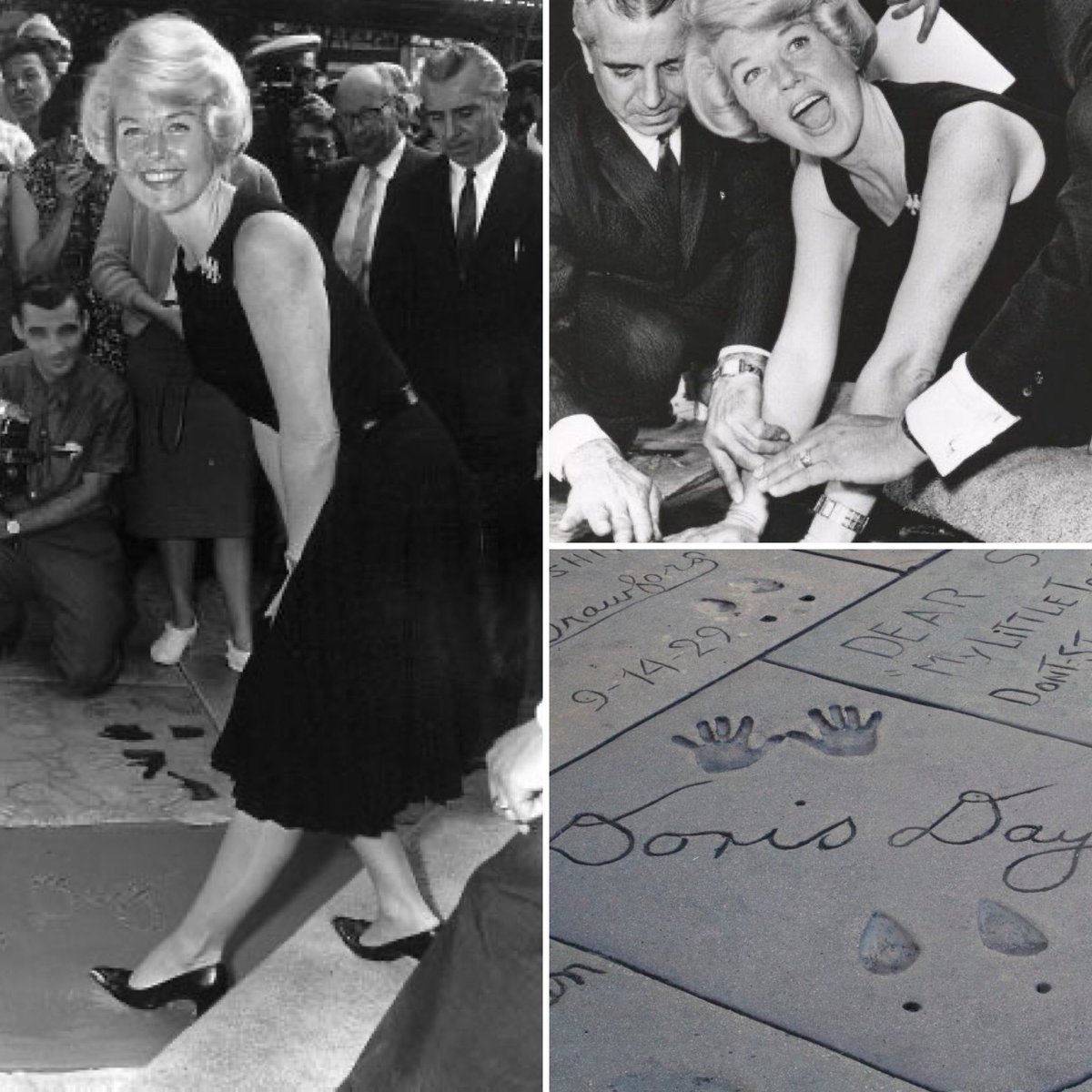 HollywoodTimeMachine tweet media