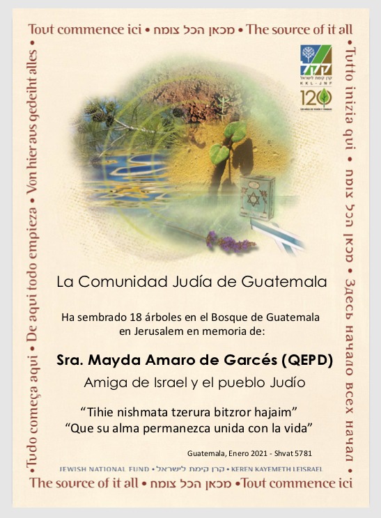 Cadena CJG ONG tweet media
