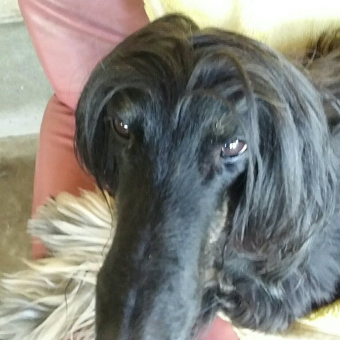 X6rzd6tgxvytqi1さんのイラストまとめ