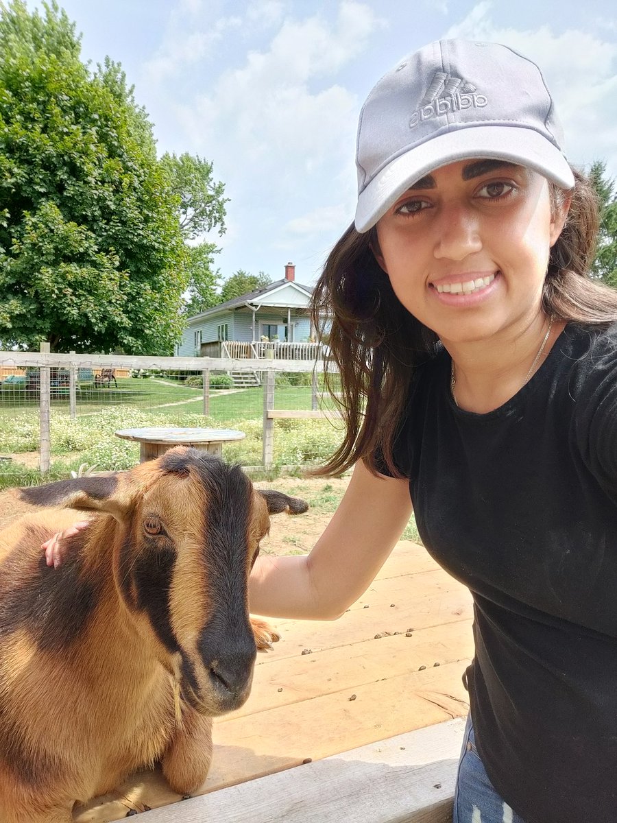 Meghh_P's tweet photo. Volunteering at an #animalsanctuary! 
#compassionforallanimals #animallover #veganforanimals https://t.co/EY76fCIFea