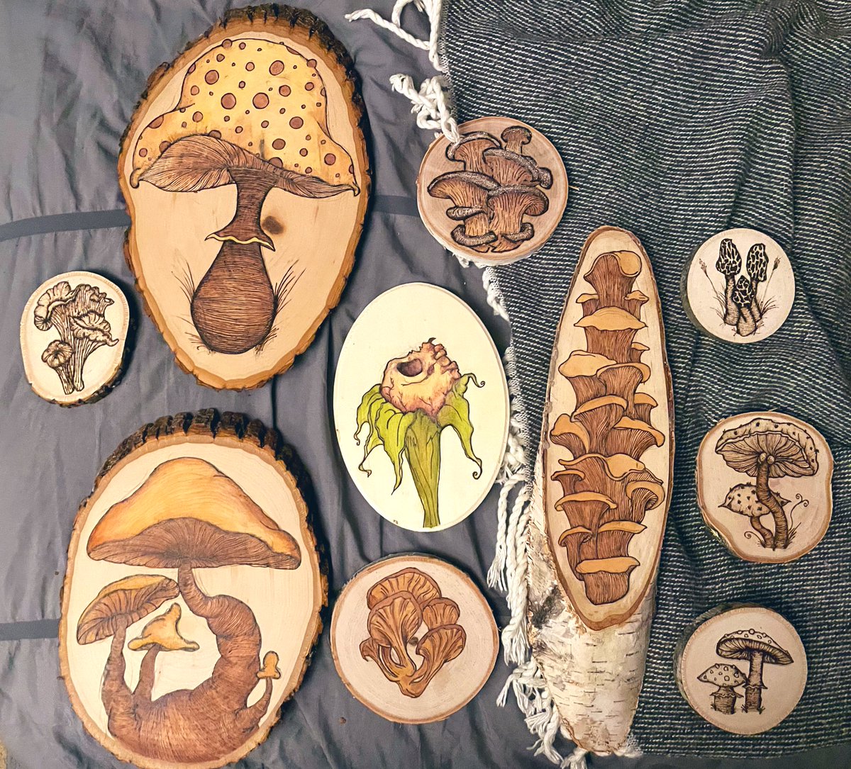 akalastudios's tweet photo. some of the shrooms and such i’ve been up to https://t.co/0HwSMXvAVv