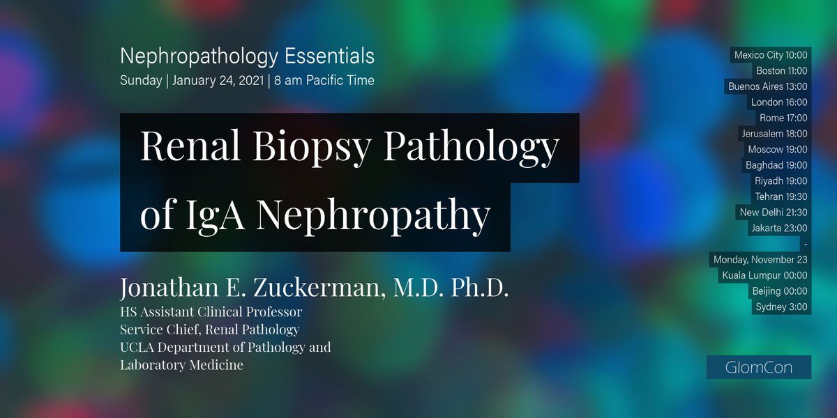 GlomCon (@glomcon) on Twitter photo A highly rated session of the GlomCon Fellowship
Renal Biopsy Pathology of IgA Nephropathy
by Dr. J. Zuckerman <a href="/JZRenalPath/">Jonathan Zuckerman MD PhD</a>
glomcon.zoom.us
ID: 937 9592 6539
Code 202122
subscribe
glomcon.us13.list-manage.com/subscribe?u=aa… A highly rated session of the GlomCon Fellowship
Renal Biopsy Pathology of IgA Nephropathy
by Dr. J. Zuckerman <a href="/JZRenalPath/">Jonathan Zuckerman MD PhD</a>
glomcon.zoom.us
ID: 937 9592 6539
Code 202122
subscribe
glomcon.us13.list-manage.com/subscribe?u=aa…